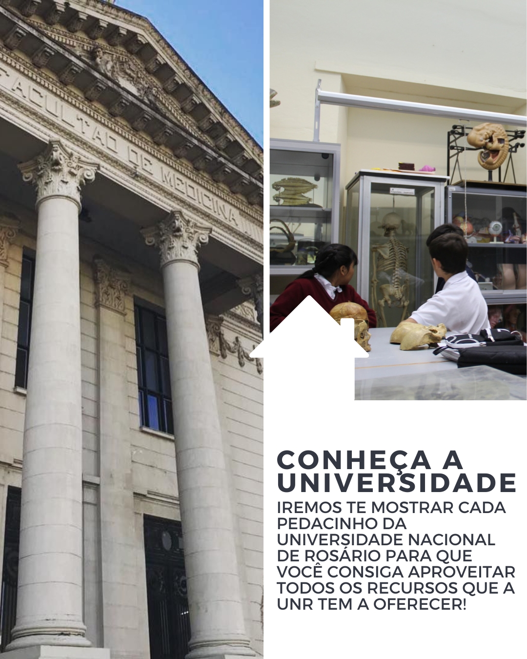 assessoria-estudantil-de-medicina-em-rosário;estude-medicina-na-argentina-na-unr;anderson-medeiros;medicina-sem-vestibular-em-rosário;estude-medicina-na-argentina-em-universidade-pública